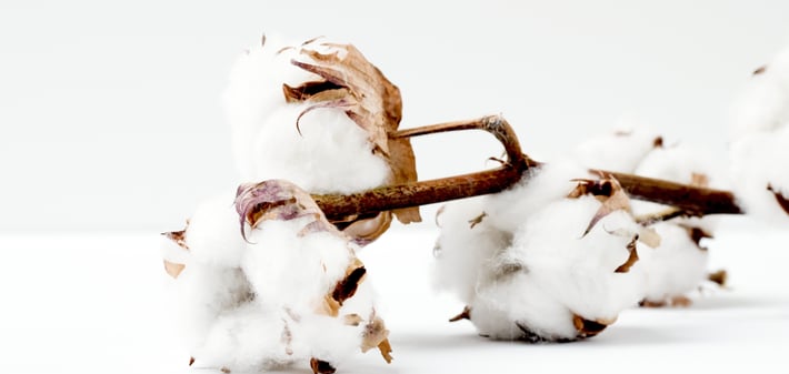 At iRely, we understand cotton. Our commodity management software helps cotton companies improve efficiency, reduce risk, and drive profits.